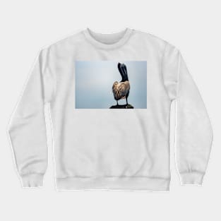 Brown Pelican of Calabash 2 Crewneck Sweatshirt